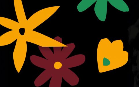 ios 17.3内置团结壁纸下载