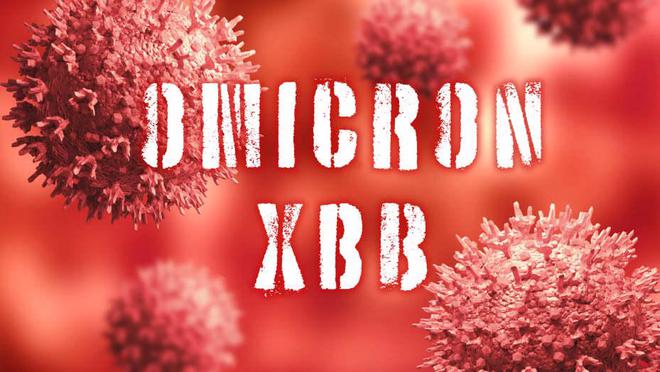 xbb.1.5毒株是什么病毒？有必要囤蒙脱石散吗？