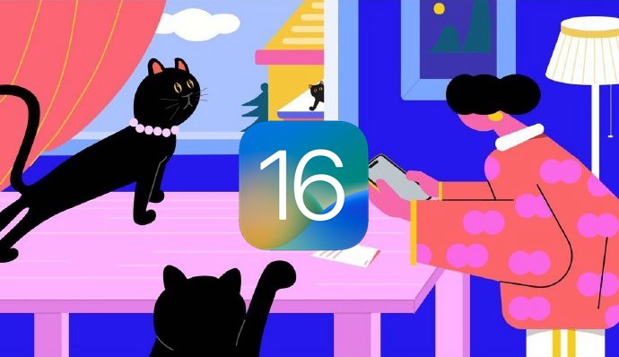 iphone怎么批量编辑照片？ios16快速批量编辑照片操作教程