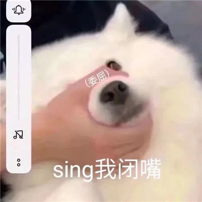 2023微信超火爆的带字好笑表情 太搞笑了！