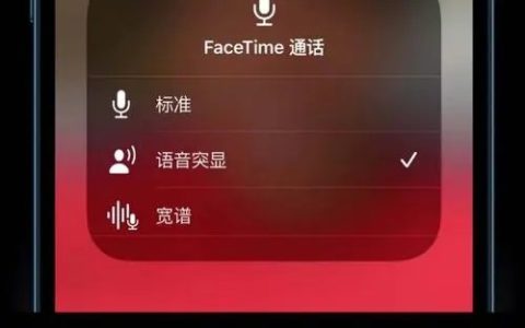 语音突显是什么意思 iphone开启语音突显通话方法