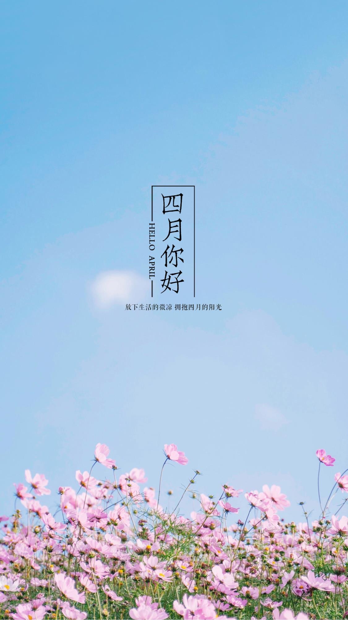 四月你好手机壁纸大全 4月你好全面屏手机壁纸高清下载