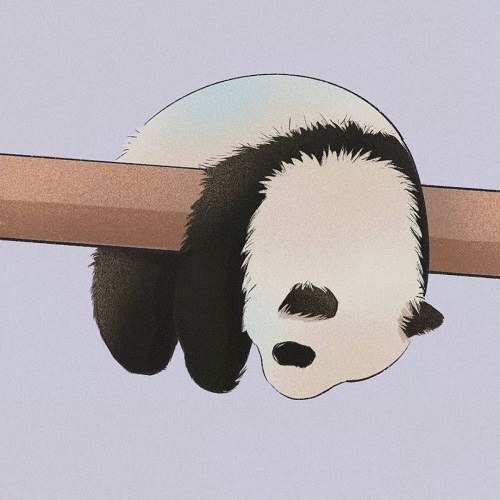 非常好看的熊猫头像图片 微信个性熊猫头像下载