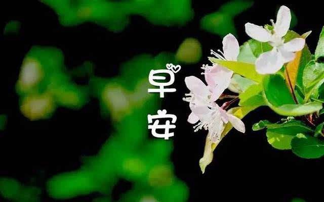 siri早安快捷指令下载 ios早安捷径下载与安装教程