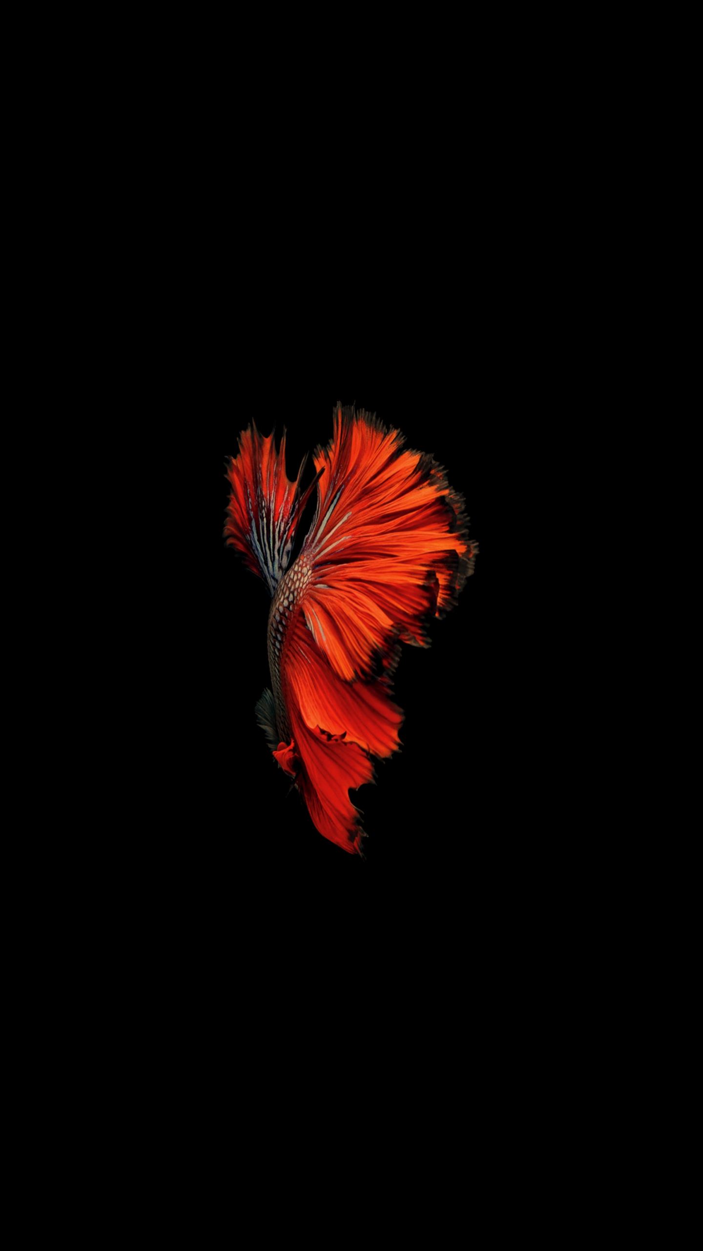 1440x2560分辨率壁纸 15张2k超高清黑色神秘手机壁纸下载