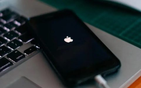 ios 可以完美降级了，巨魔大佬狂喜！