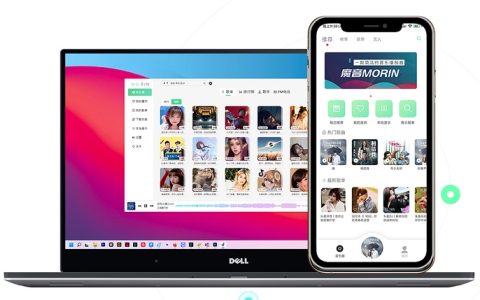 一款免费简洁音乐播放器 魔音morin电脑版下载