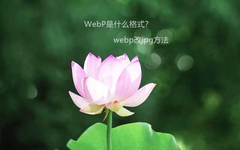 webp是什么格式？webp改成jpg或png格式方法
