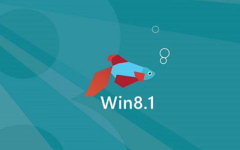 win8.1多版本官方净镜像下载 win8.1 multiple editions原版系统下载