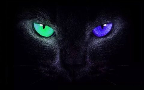 22张iphone开屏眨眼壁纸高清无水印下载 苹果睁眼壁纸太酷了