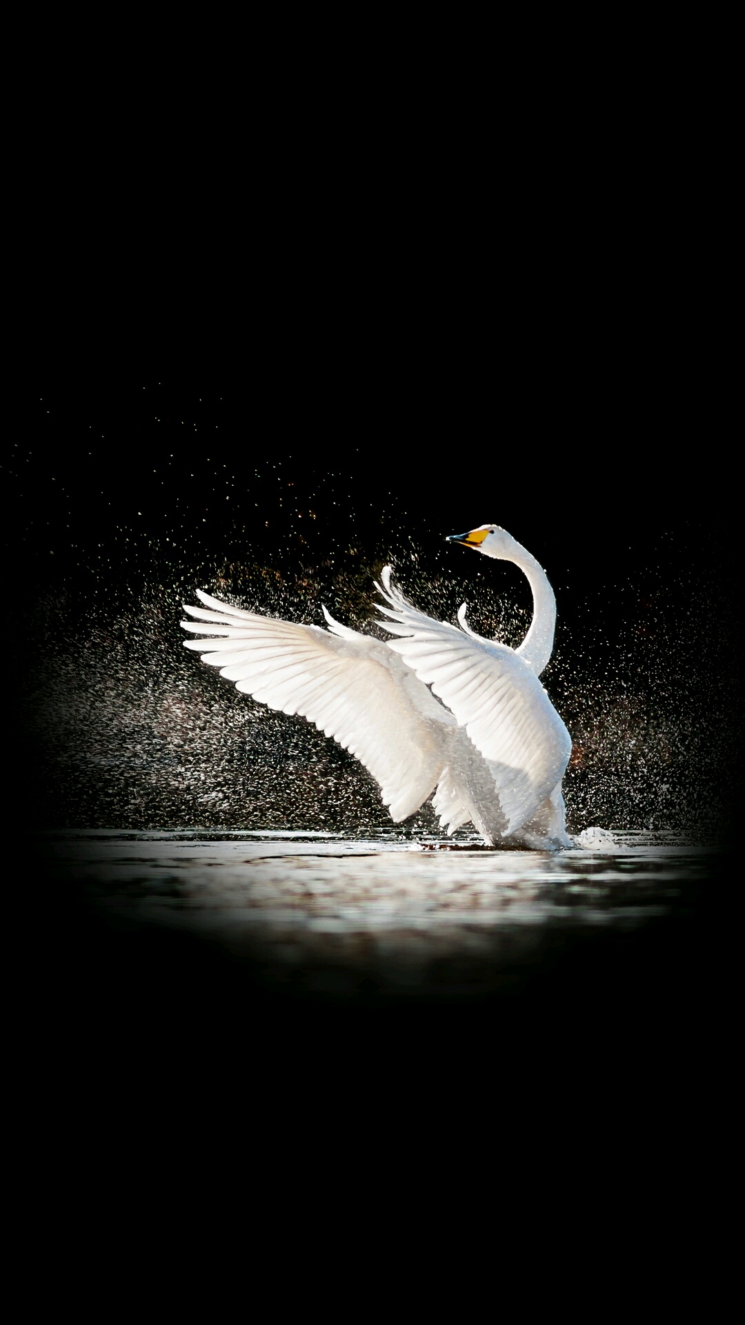 省电占用空间小 10张1080x1920分辨率黑色壁纸高清下载